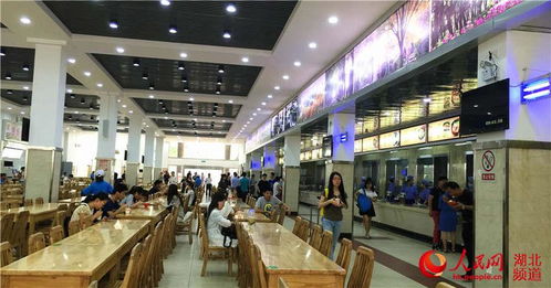 武汉首创高校食品药品工作站，为师生筑牢“舌尖上的安全防线”